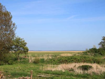 Ferienhaus für 5 Personen (60 m²) in Ahrenshoop 3/10