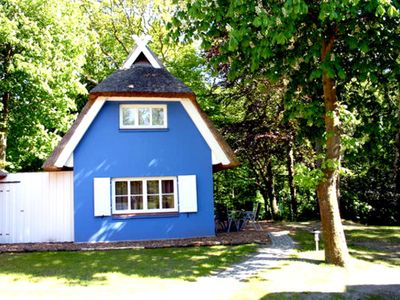 Ferienhaus für 3 Personen (44 m²) in Ahrenshoop 3/9