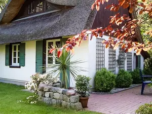 Ferienhaus für 4 Personen (57 m²) in Ahrenshoop