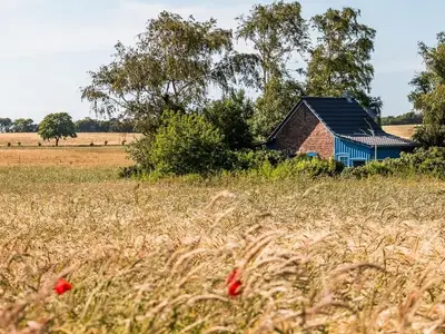 Landschaft