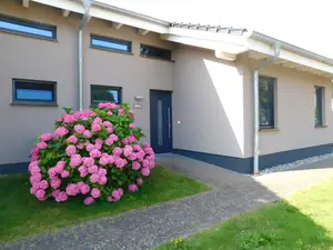 Ferienhaus für 4 Personen (70 m²) in Ahrenshoop
