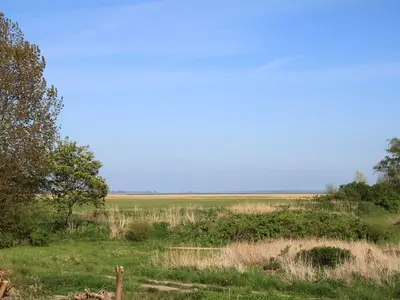 Ferienhaus für 5 Personen (60 m²) in Ahrenshoop 3/10