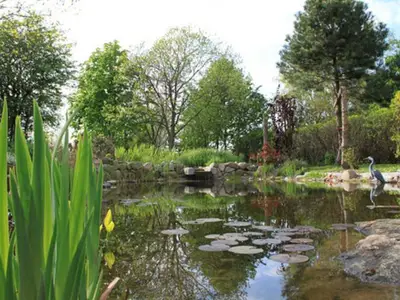 Ferienhaus für 4 Personen (70 m²) in Ahrenshoop 2/10