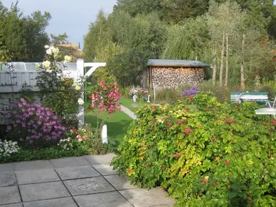 Ferienhaus für 3 Personen (68 m²) in Ahrenshoop 2/10