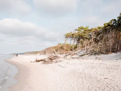 Ferienhaus für 6 Personen (120 m²) in Ahrenshoop 7/10