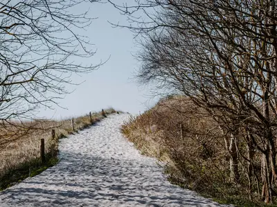 Ferienhaus für 6 Personen (120 m²) in Ahrenshoop 9/10