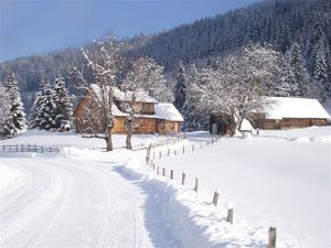 22401747-Ferienhaus-8-Aich (Steiermark)-300x225-2