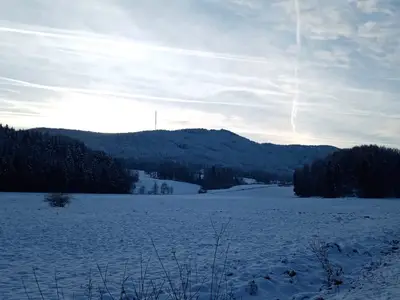Högl