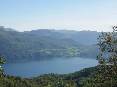 View