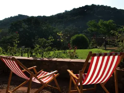ViewSummer