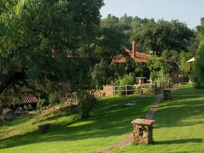 GardenSummer