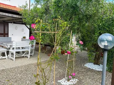 Bild 8