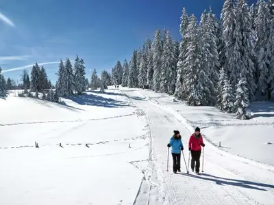 Ferienhaus für 8 Personen in Alberschwende 3/10