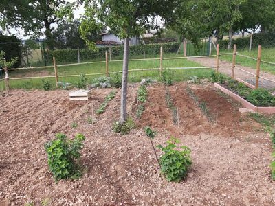 Le   potager du gite (nouveau)