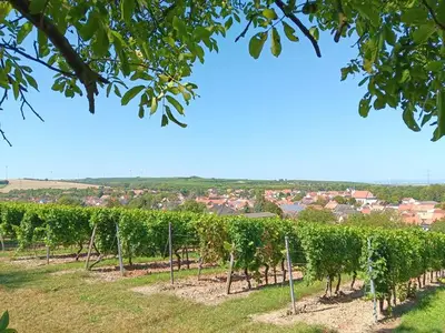 Ferienhaus für 4 Personen (90 m²) in Albig 3/10