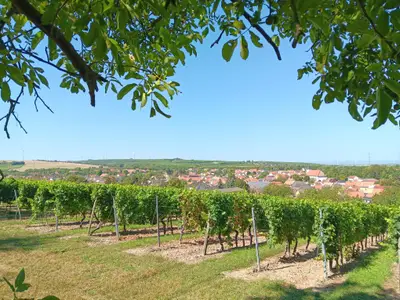 Weinlage Hammerstein