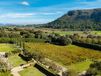 Ferienhaus für 18 Personen (800 m²) in Alcúdia 6/10