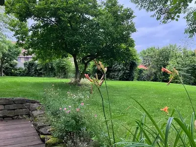Ferienhaus für 16 Personen (250 m²) in Allstedt 9/10