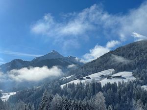 24019066-Ferienhaus-10-Alpbach-300x225-1