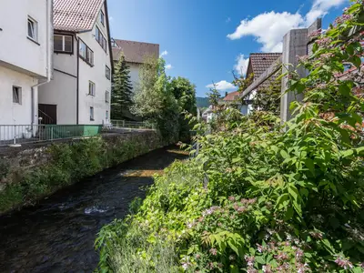Umgebung