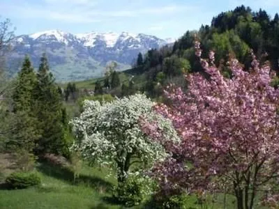 Aussicht
