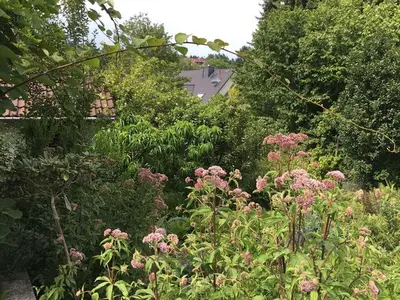 Ferienhaus für 7 Personen (130 m²) in Alsbach 8/10