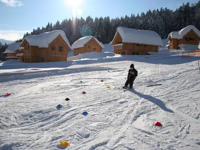 Ferienhaus für 4 Personen (82 m²) in Altaussee 8/10