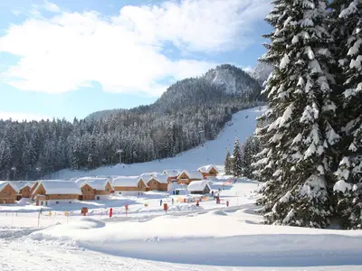 Ferienhaus für 4 Personen (82 m²) in Altaussee 10/10