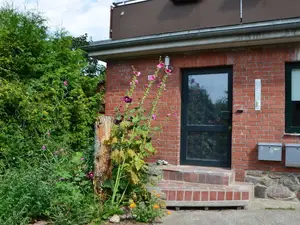 Ferienhaus für 4 Personen (54 m²) in Altefähr auf Rügen