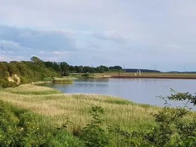 Ferienhaus für 3 Personen (50 m²) in Altefähr auf Rügen 7/10