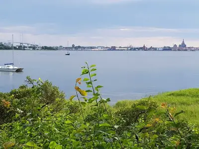 Ferienhaus für 3 Personen (50 m²) in Altefähr auf Rügen 8/10