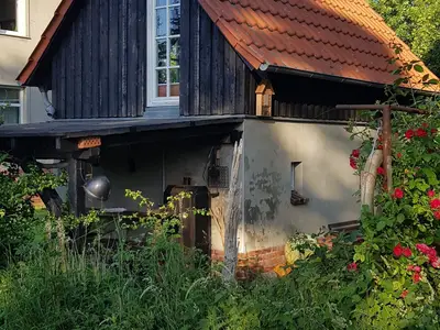 Ferienhaus für 2 Personen (27 m²) in Altefähr auf Rügen 7/8