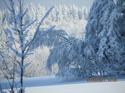 Blick in die verschneite Landschaft