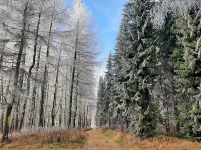 reizvoll auch zwischen Herbst und Winter