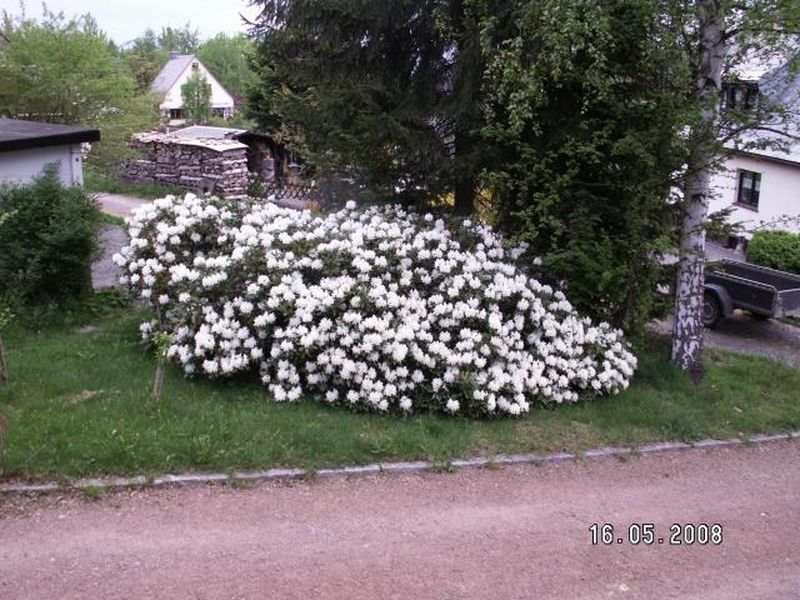 22801787-Ferienhaus-6-Altenberg-800x600-2