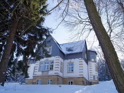 Ferienhaus für 18 Personen (300 m²) in Altenberg 8/10