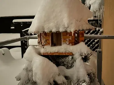 Ferienhaus für 2 Personen (35 m²) in Altenberg 6/10