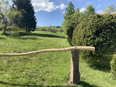 Blick auf Wiese hinter dem Haus
