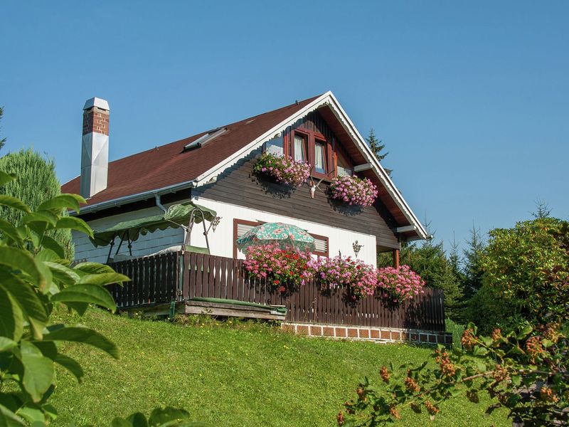 23535076-Ferienhaus-4-Altenfeld-800x600-0