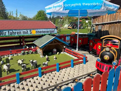 Eisenbahn Schafe