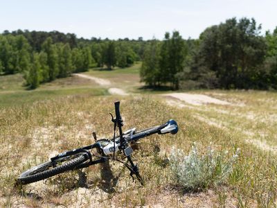 Direkte Umgebung des Objekts. Fahrradtour im 300 m entfernten Naturpark