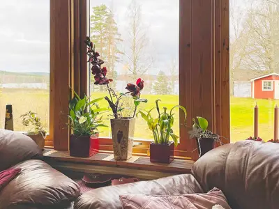 Indoor