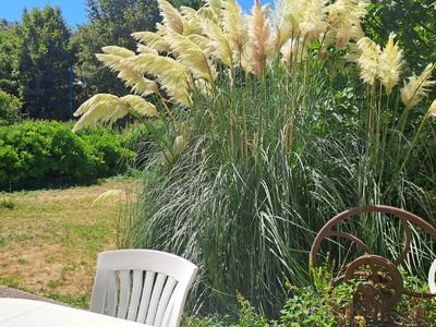 La Presqu'île d'Ambialet - Terrasse