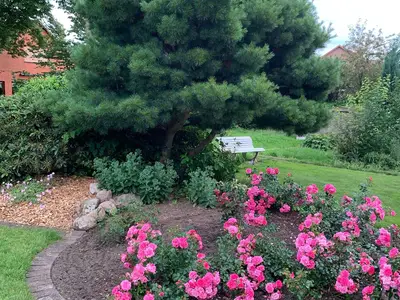 Ferienhaus für 4 Personen (100 m²) in Amelinghausen 1/10