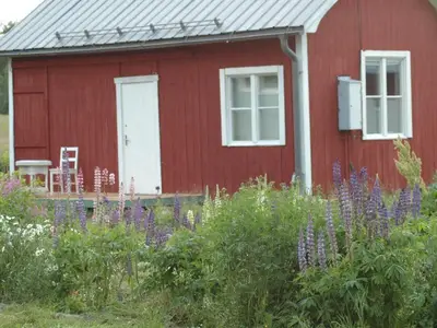 Haus