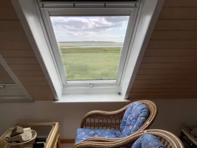 Indoor Indoor