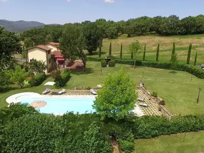 aerial view
