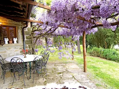 GardenSummer