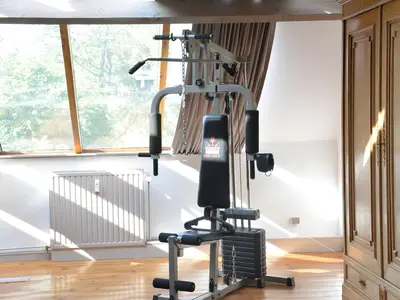Wellness