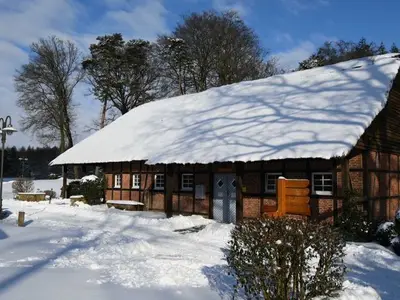 Ferienhaus für 14 Personen (350 m²) in Ankum 2/10